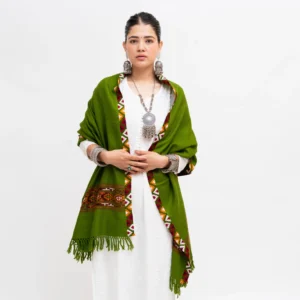 Single Patti Chasam Shawl With Extra Border