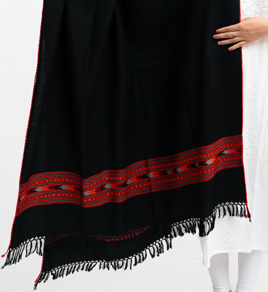 Single Patti Kingri Shawl - Image 30