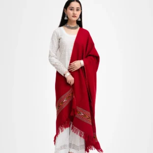 Single Patti Kingri Shawl